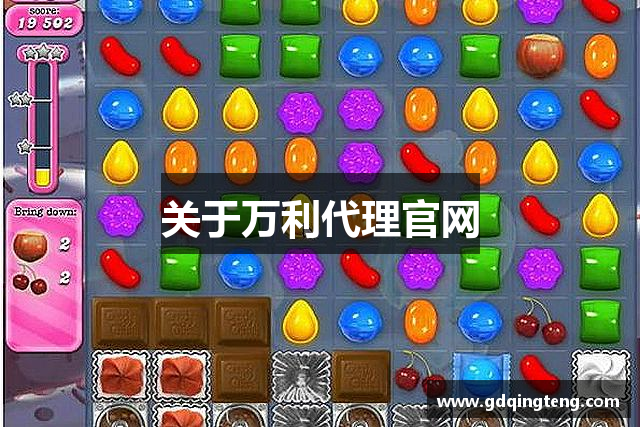 关于万利代理官网